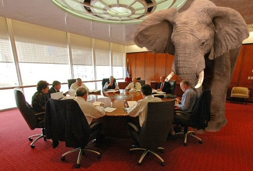 an elephant in the room
